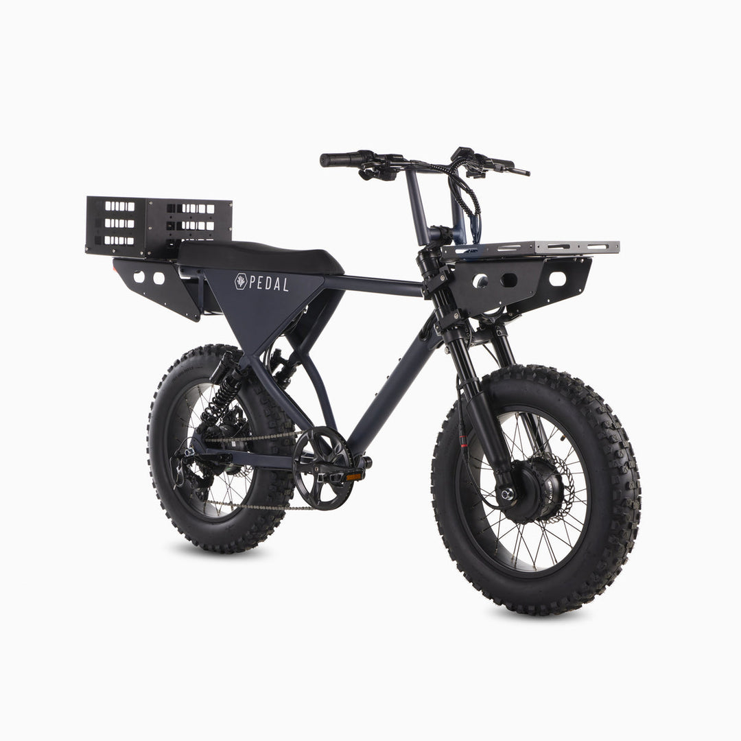 Pedal Electric All Wheel Drive [CG] Fat-Tire E-Bike