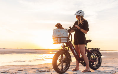 HEYBIKE Ranger S Folding Fat Tire E-Bike