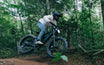 HEYBIKE Brawn Off-Road Fat-Tire E-Bike