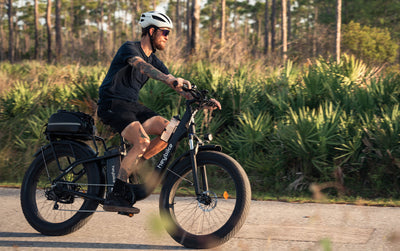 HEYBIKE Explore Fat-Tire E-bike