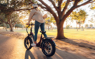 HEYBIKE Ranger S Folding Fat Tire E-Bike