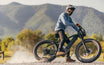 HEYBIKE Brawn Off-Road Fat-Tire E-Bike