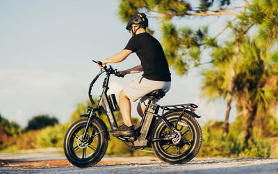 HEYBIKE Ranger Folding Fat-Tire Ebike