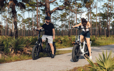 HEYBIKE Ranger Folding Fat-Tire Ebike