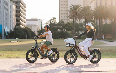 HEYBIKE Ranger S Folding Fat Tire E-Bike