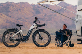 Denago FAT-TIRE Step-Through E-Bike