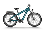 Himiway D5 Rhino (Plus/Ultra) Dual Battery Off-Road E-Bike