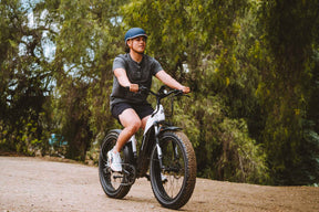 Denago FAT-TIRE Step-Through E-Bike