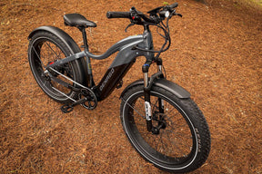 Denago FAT-TIRE Top-Tube E-Bike