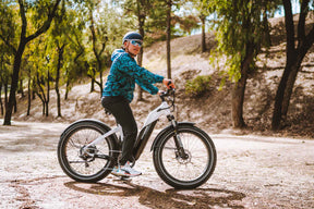 Denago FAT-TIRE Step-Through E-Bike