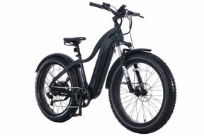 Denago FAT-TIRE Top-Tube E-Bike