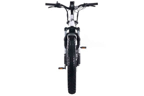 Denago FAT-TIRE Step-Through E-Bike