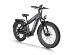 Himiway D5 Rhino (Plus/Ultra) Dual Battery Off-Road E-Bike