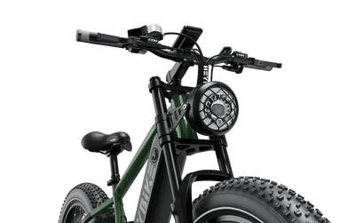 HEYBIKE Brawn Off-Road Fat-Tire E-Bike