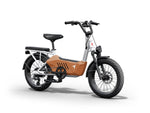 Himiway C3 Cargo E-Bike