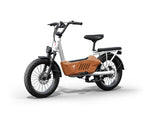 Himiway C3 Cargo E-Bike