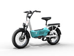 Himiway C3 Cargo E-Bike