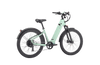 Velotric DISCOVER 1 Step-Through E-bike