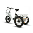 Eunorau NEW-TRIKE Cargo Folding E-Bike