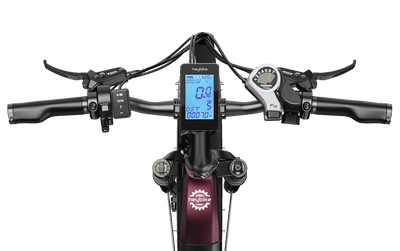 HEYBIKE Ranger S Folding Fat Tire E-Bike