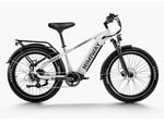 Himiway D5 ZEBRA High-Step E-Bike