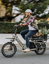 Aventon ABOUND Cargo E-Bike