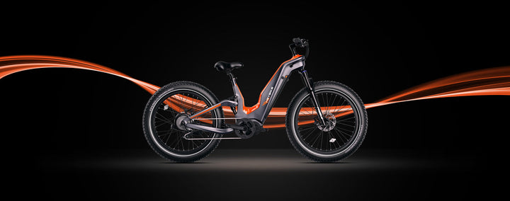 HEYBIKE HERO Carbon-Fiber E-bike