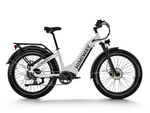 Himiway ZEBRA D5 Step-Thru E-Bike