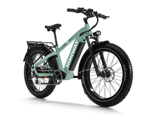 Himiway ZEBRA D5 Step-Thru E-Bike