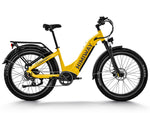 Himiway ZEBRA D5 Step-Thru E-Bike